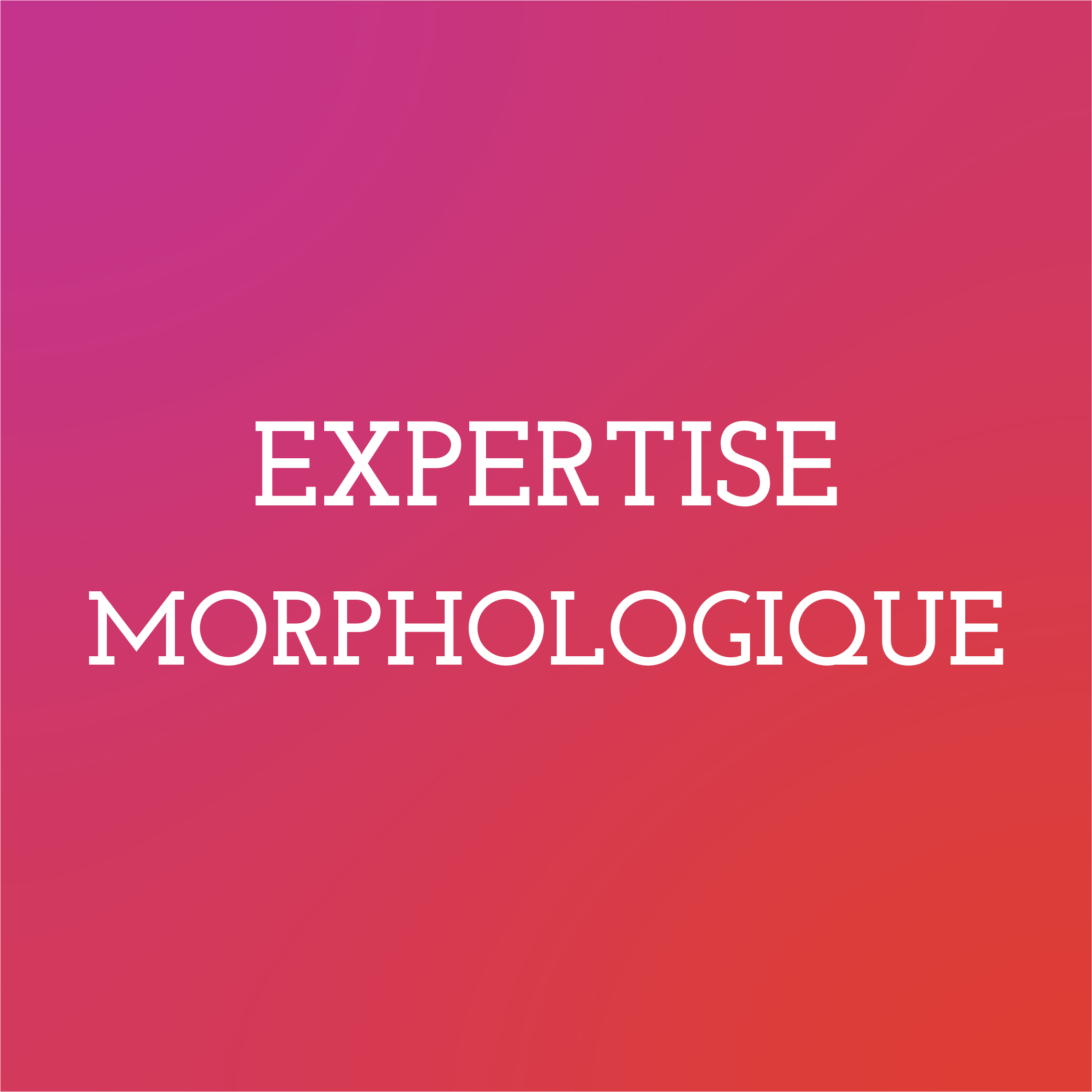 Expertise morphologique (+/- 2h)